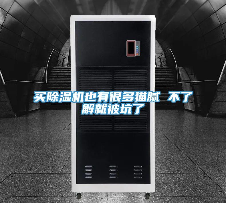 買蘑菇视频网站也有很多貓膩 不了解就被坑了