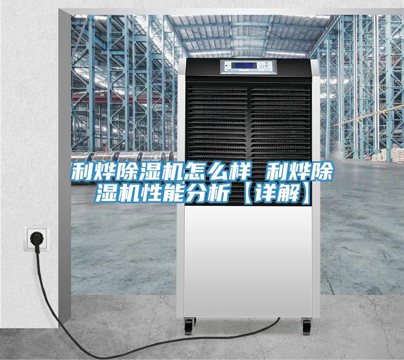 利燁蘑菇视频网站怎麽樣 利燁蘑菇视频网站性能分析【詳解】