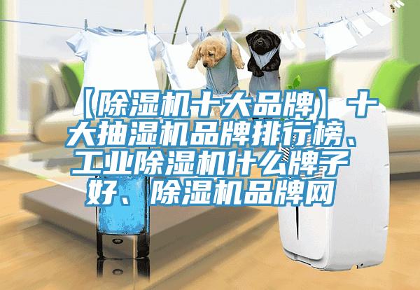 【蘑菇视频网站十大品牌】十大抽濕機品牌排行榜、工業蘑菇视频网站什麽牌子好、蘑菇视频网站品牌網