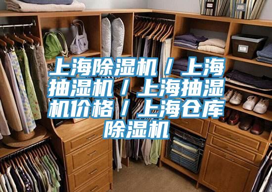 上海蘑菇视频网站／上海抽濕機／上海抽濕機價格／上海倉庫蘑菇视频网站