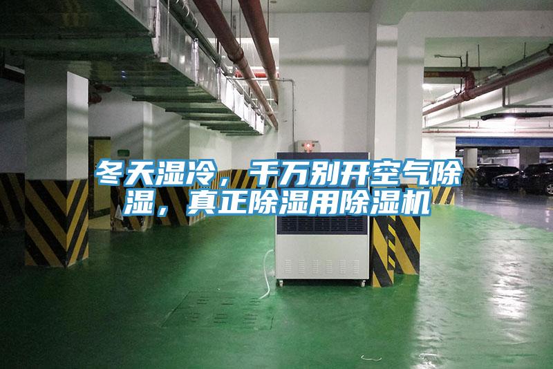 冬天濕冷，千萬別開空氣除濕，真正除濕用蘑菇视频网站