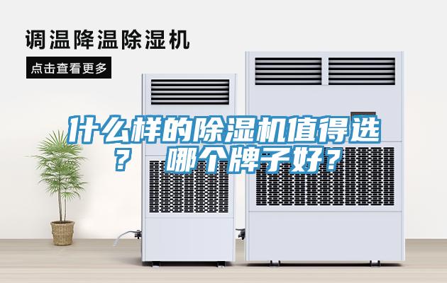 什麽樣的蘑菇视频网站值得選？ 哪個牌子好？