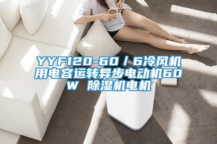 YYF120-60／6冷風機用電容運轉異步電動機60W 蘑菇视频网站電機