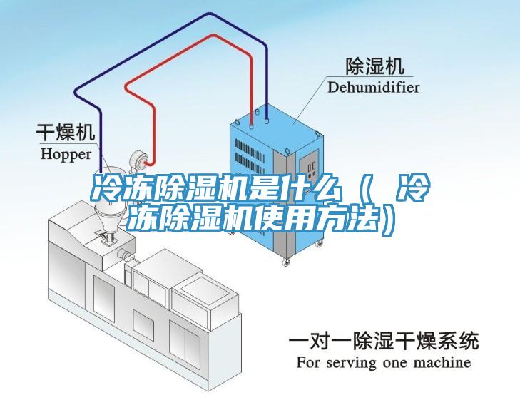 冷凍蘑菇视频网站是什麽（ 冷凍蘑菇视频网站使用方法）