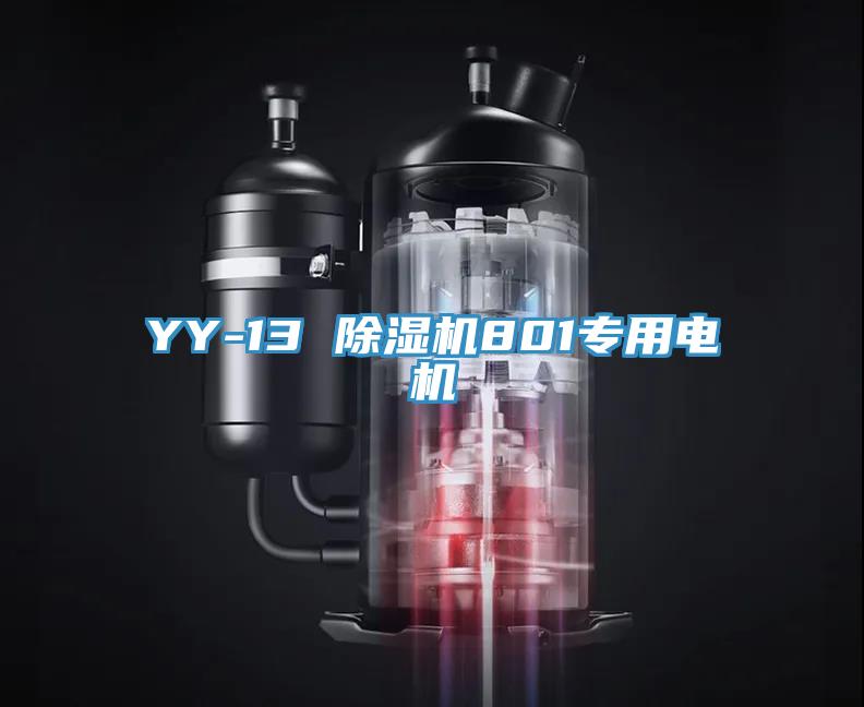 YY-13 蘑菇视频网站801專用電機