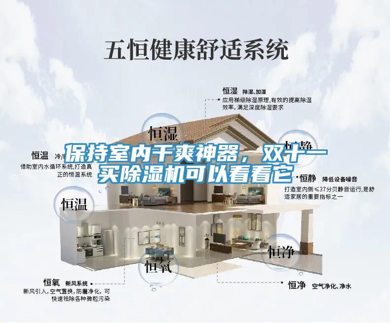 保持室內幹爽神器，雙十一買蘑菇视频网站可以看看它