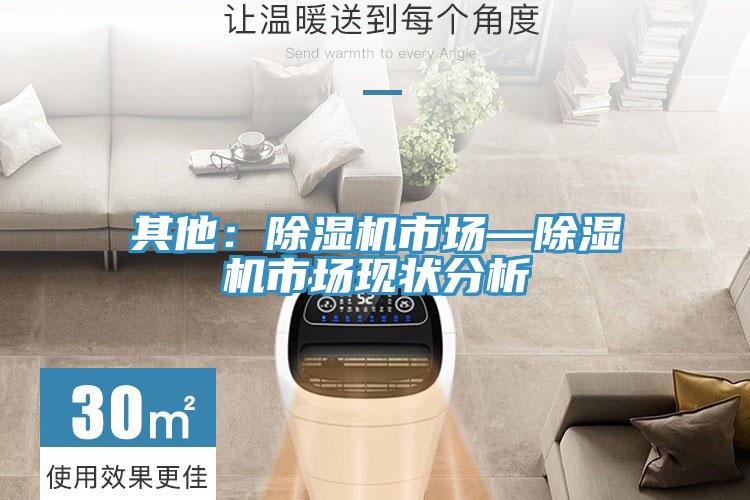 其他：蘑菇视频网站市場—蘑菇视频网站市場現狀分析