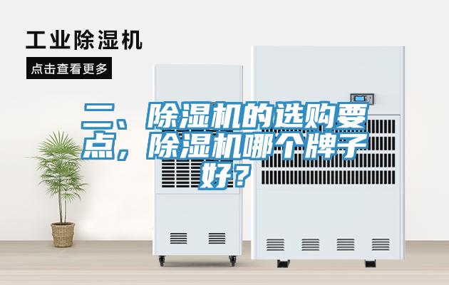 二、蘑菇视频网站的選購要點，蘑菇视频网站哪個牌子好？