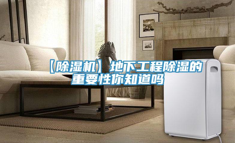 【蘑菇视频网站】地下工程除濕的重要性你知道嗎