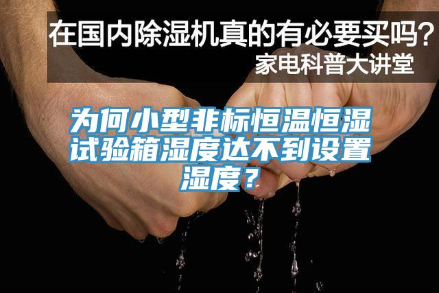 為何小型非標恒溫恒濕試驗箱濕度達不到設置濕度？