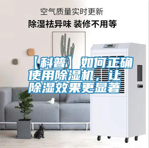 【科普】如何正確使用蘑菇视频网站，讓除濕效果更顯著