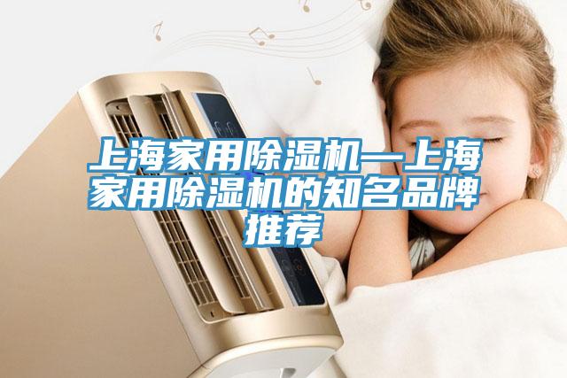 上海家用蘑菇视频网站—上海家用蘑菇视频网站的知名品牌推薦