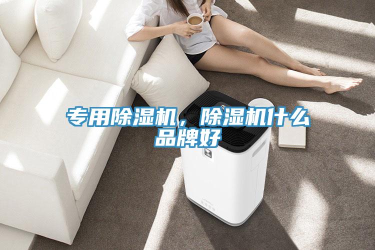 專用蘑菇视频网站，蘑菇视频网站什麽品牌好