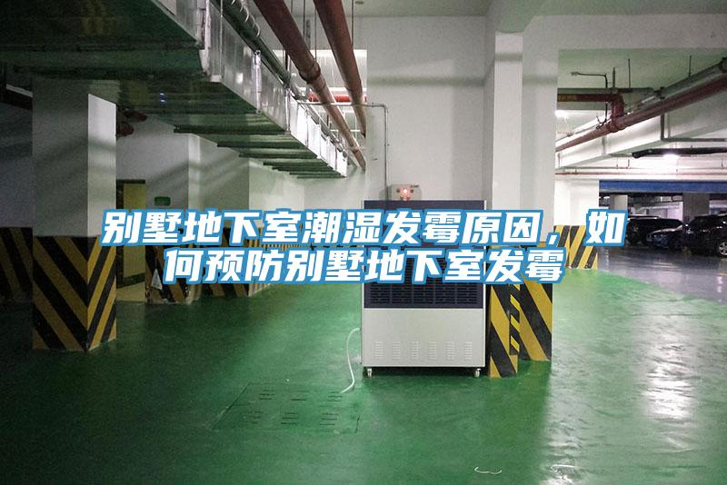 別墅地下室潮濕發黴原因，如何預防別墅地下室發黴