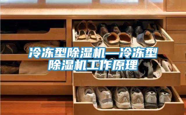 冷凍型蘑菇视频网站—冷凍型蘑菇视频网站工作原理