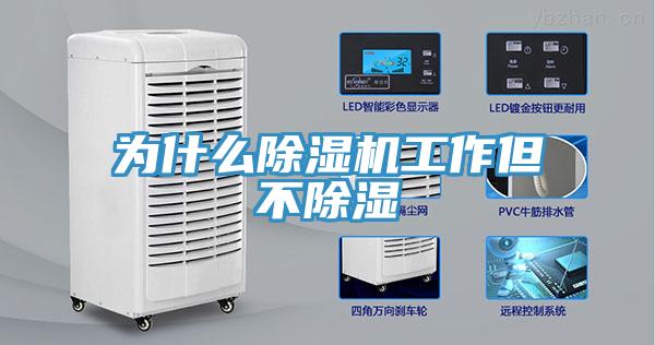 為什麽蘑菇视频网站工作但不除濕