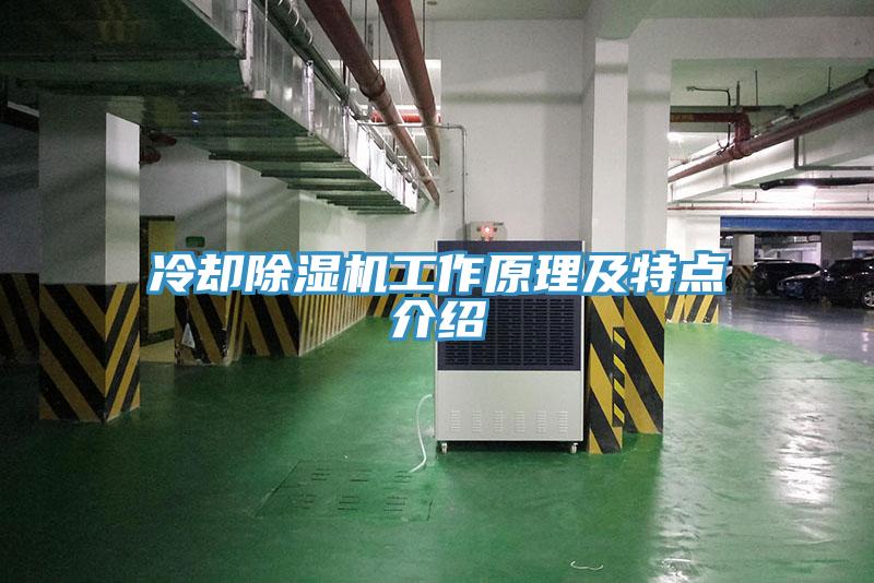 冷卻蘑菇视频网站工作原理及特點介紹