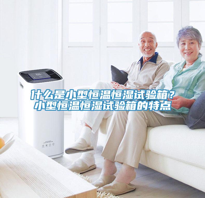 什麽是小型恒溫恒濕試驗箱？小型恒溫恒濕試驗箱的特點