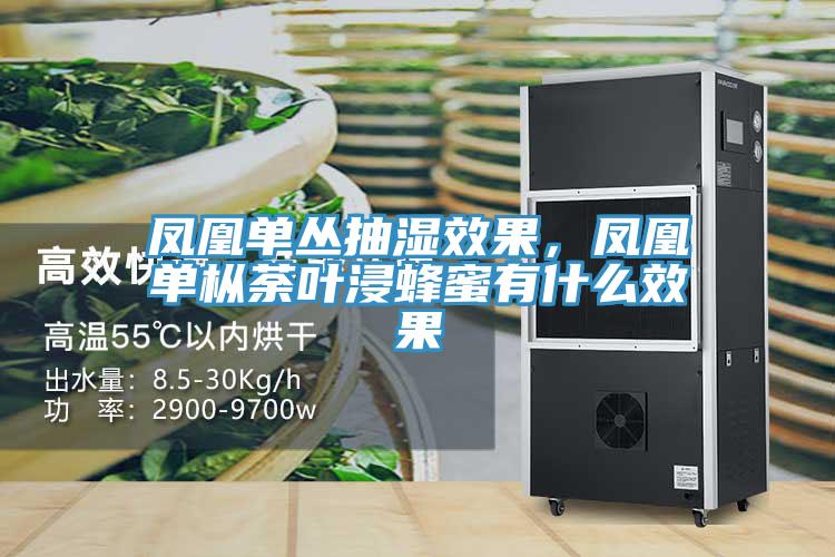 鳳凰單叢抽濕效果，鳳凰單樅荼葉浸蜂蜜有什麽效果