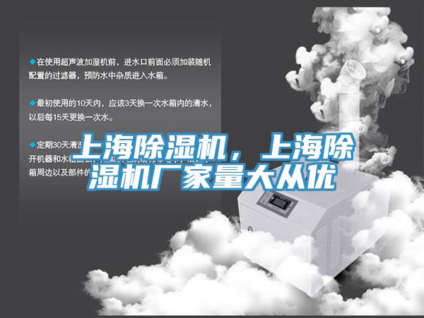 上海蘑菇视频网站，上海蘑菇视频网站廠家量大從優