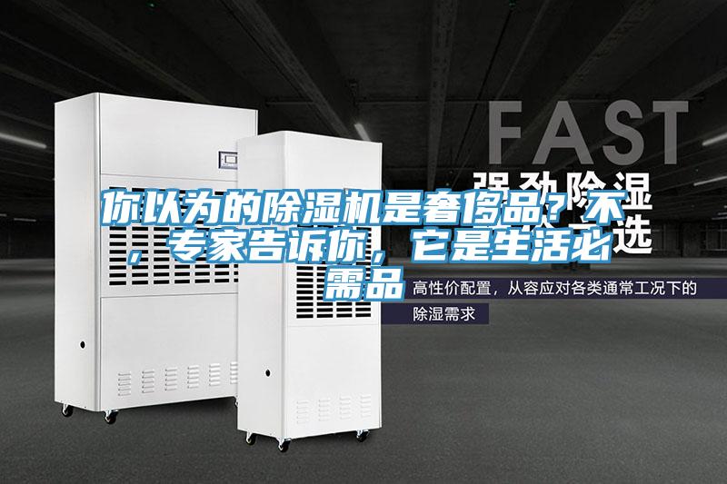 你以為的蘑菇视频网站是奢侈品？不，專家告訴你，它是生活必需品