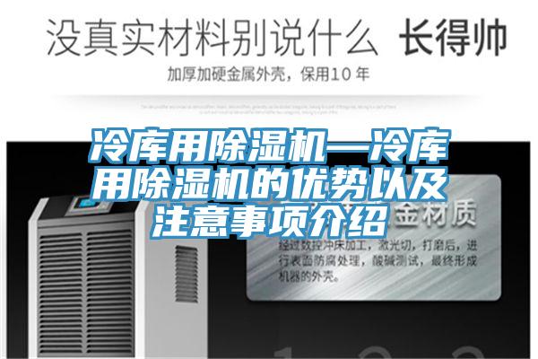 冷庫用蘑菇视频网站—冷庫用蘑菇视频网站的優勢以及注意事項介紹