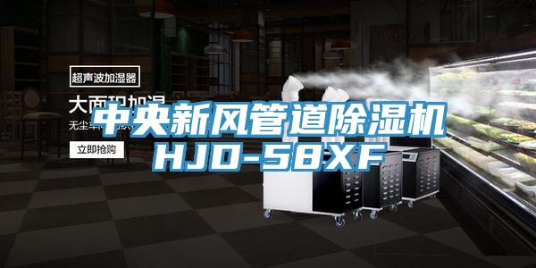 中央新風管道蘑菇视频网站HJD-58XF