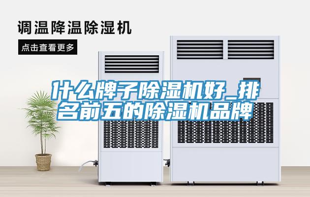 什麽牌子蘑菇视频网站好_排名前五的蘑菇视频网站品牌