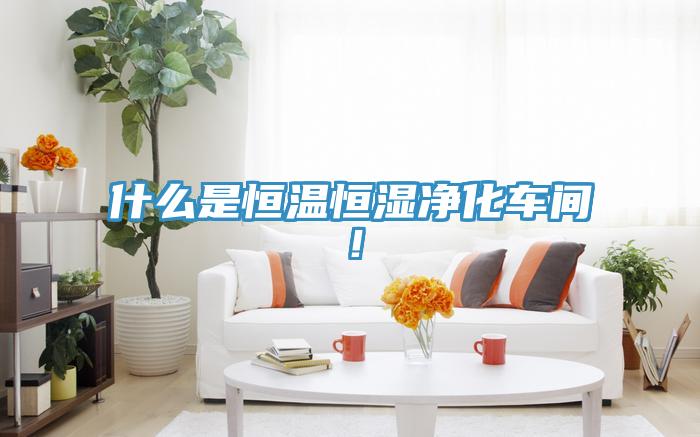 什麽是恒溫恒濕淨化車間！