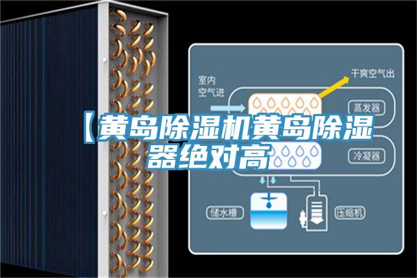 【黃島蘑菇视频网站黃島除濕器絕對高
