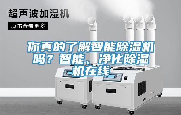 你真的了解智能蘑菇视频网站嗎？智能、淨化蘑菇视频网站在線