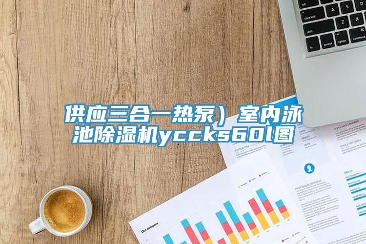 供應三合一熱泵）室內泳池蘑菇视频网站yccks60l圖