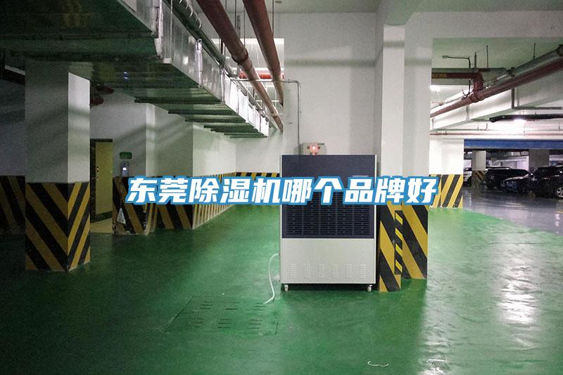 東莞蘑菇视频网站哪個品牌好