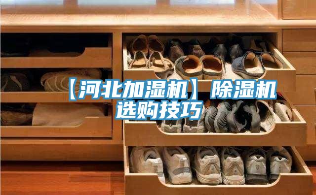 【河北加濕機】蘑菇视频网站選購技巧