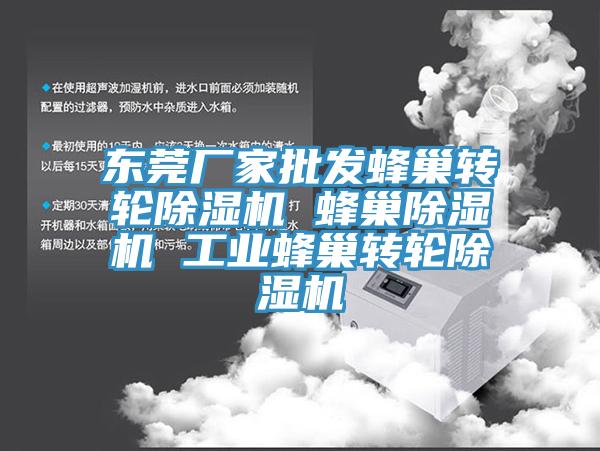 東莞廠家批發蜂巢轉輪蘑菇视频网站 蜂巢蘑菇视频网站 工業蜂巢轉輪蘑菇视频网站