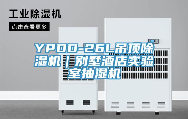 YPDD-26L吊頂蘑菇视频网站｜別墅酒店實驗室抽濕機