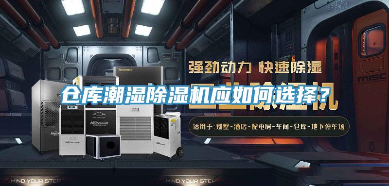 倉庫潮濕蘑菇视频网站應如何選擇？