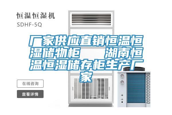 廠家供應直銷恒溫恒濕儲物櫃   湖南恒溫恒濕儲存櫃生產廠家