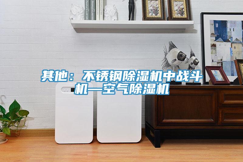 其他：不鏽鋼蘑菇视频网站中戰鬥機—空氣蘑菇视频网站