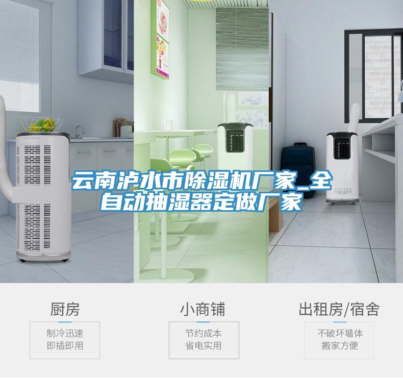 雲南瀘水市蘑菇视频网站廠家_全自動抽濕器定做廠家