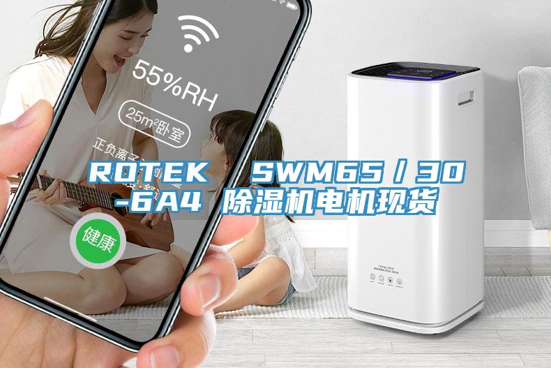 ROTEK  SWM65／30-6A4 蘑菇视频网站電機現貨