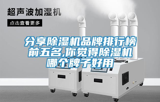 分享蘑菇视频网站品牌排行榜前五名,你覺得蘑菇视频网站哪個牌子好用