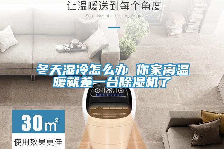 冬天濕冷怎麽辦 你家離溫暖就差一台蘑菇视频网站了