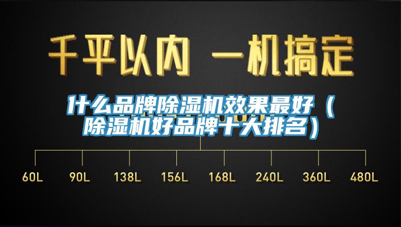 什麽品牌蘑菇视频网站效果最好（蘑菇视频网站好品牌十大排名）