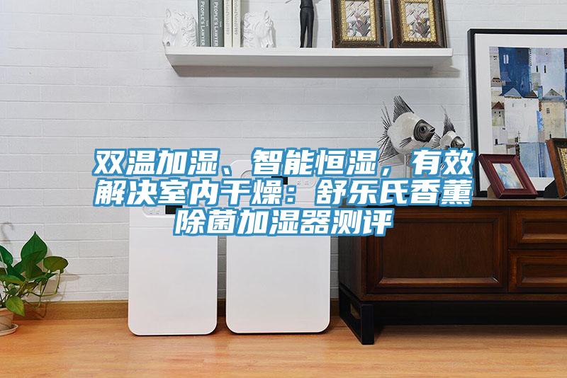 雙溫加濕、智能恒濕，有效解決室內幹燥：舒樂氏香薰除菌加濕器測評