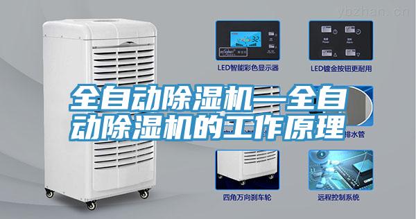 全自動蘑菇视频网站—全自動蘑菇视频网站的工作原理