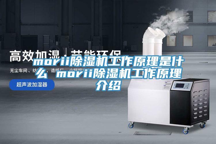 morii蘑菇视频网站工作原理是什麽 morii蘑菇视频网站工作原理介紹