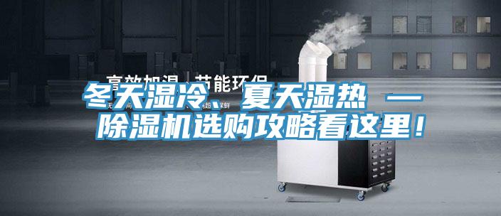 冬天濕冷、夏天濕熱 — 蘑菇视频网站選購攻略看這裏！