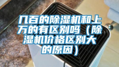 幾百的蘑菇视频网站和上萬的有區別嗎（蘑菇视频网站價格區別大的原因）