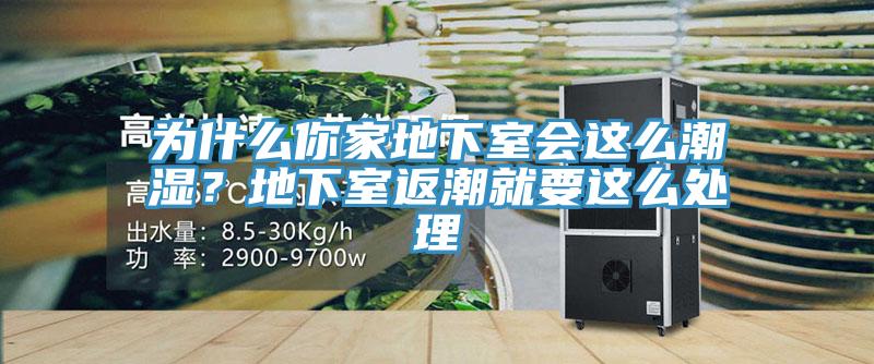 為什麽你家地下室會這麽潮濕？地下室返潮就要這麽處理